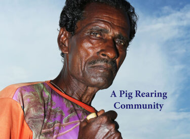 53. Kaiputra. A Pig Rearing Community