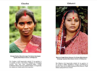 8. Chasha and Chhatri