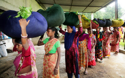 Stop the exploitation of tea workers in Bangladesh and fix the industry